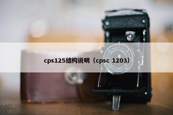 cps125结构说明（cpsc 1203）