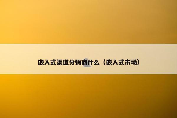 嵌入式渠道分销商什么（嵌入式市场）
