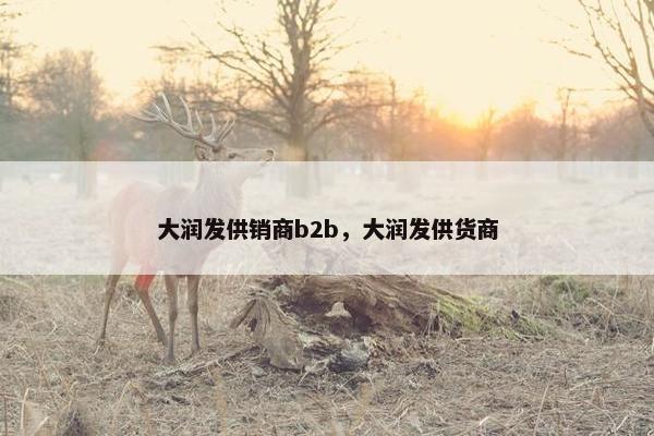 大润发供销商b2b，大润发供货商