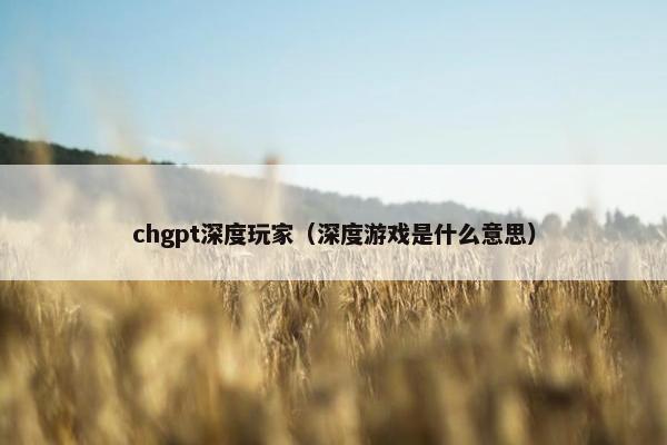 chgpt深度玩家（深度游戏是什么意思）