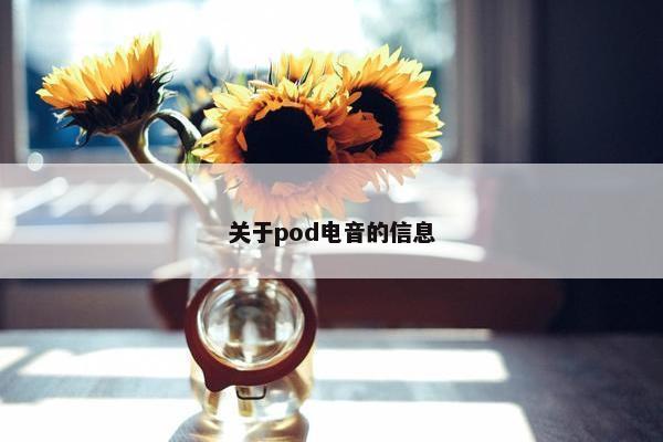 关于pod电音的信息