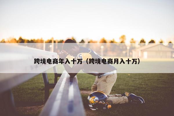 跨境电商年入十万（跨境电商月入十万）