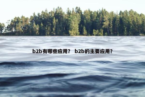 b2b有哪些应用？ b2b的主要应用？