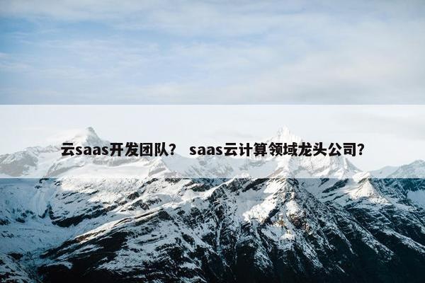 云saas开发团队？ saas云计算领域龙头公司？