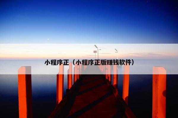 小程序正（小程序正版赚钱软件）