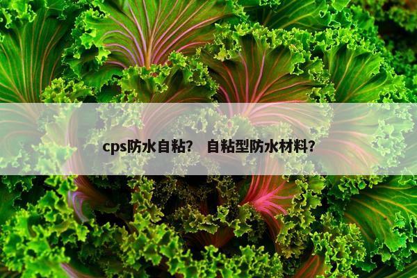 cps防水自粘? 自粘型防水材料?