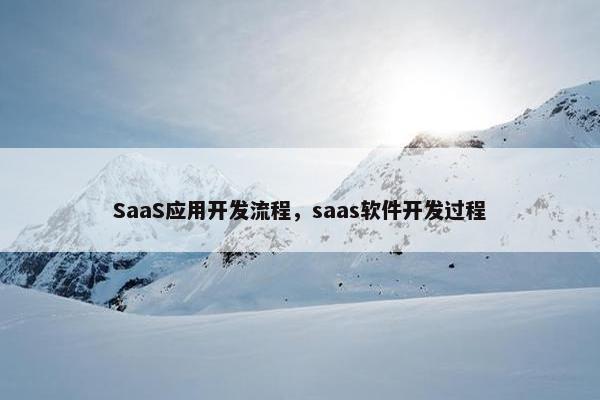 SaaS应用开发流程，saas软件开发过程