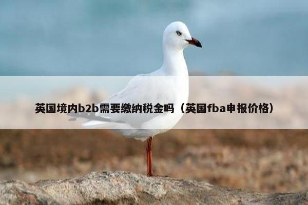 英国境内b2b需要缴纳税金吗（英国fba申报价格）