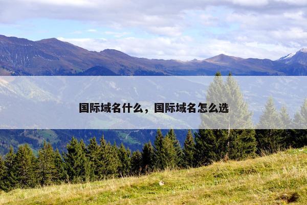 国际域名什么，国际域名怎么选