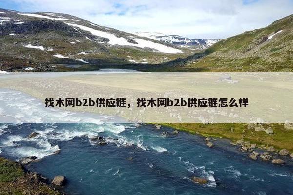 找木网b2b供应链，找木网b2b供应链怎么样
