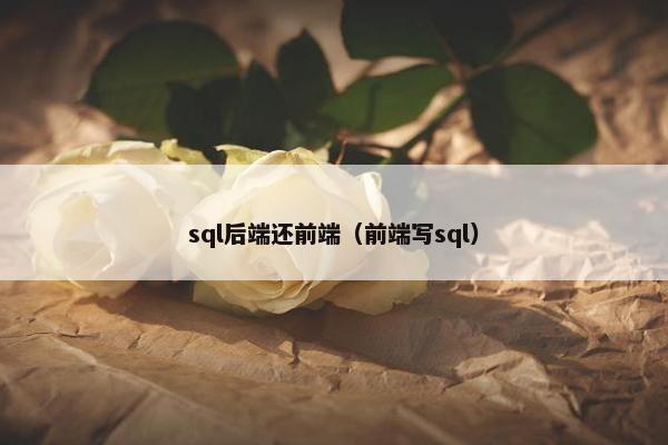 sql后端还前端（前端写sql）