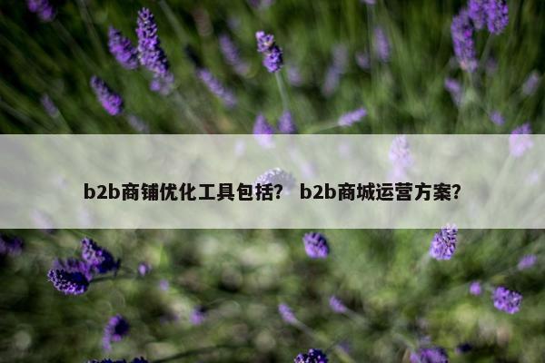 b2b商铺优化工具包括？ b2b商城运营方案？