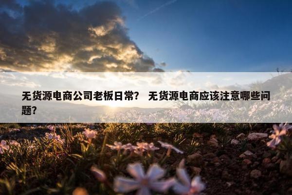 无货源电商公司老板日常？ 无货源电商应该注意哪些问题？