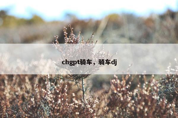 chgpt骑车，骑车dj