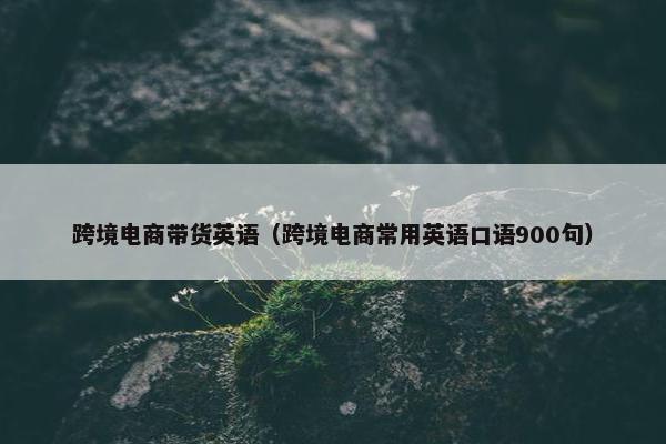 跨境电商带货英语（跨境电商常用英语口语900句）