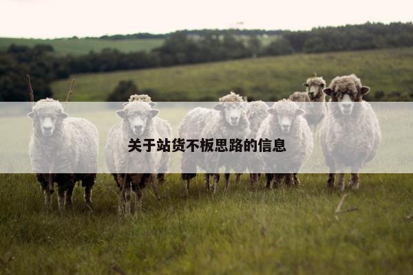 关于站货不板思路的信息