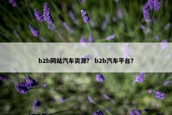 b2b网站汽车资源？ b2b汽车平台？