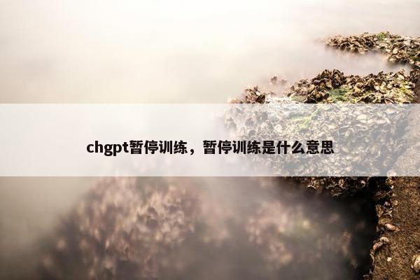 chgpt暂停训练，暂停训练是什么意思
