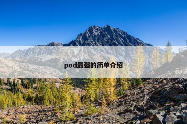 pod最强的简单介绍