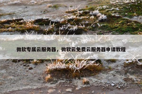 微软专属云服务器，微软云免费云服务器申请教程