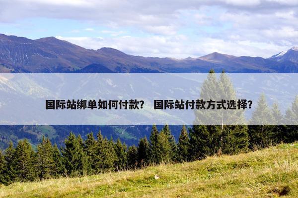 国际站绑单如何付款？ 国际站付款方式选择？