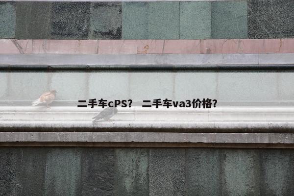 二手车cPS？ 二手车va3价格？