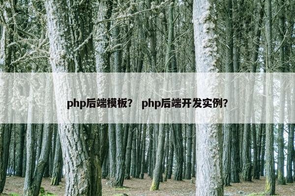 php后端模板？ php后端开发实例？
