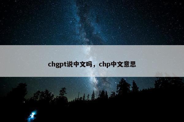 chgpt说中文吗，chp中文意思