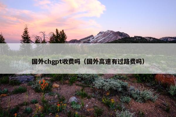 国外chgpt收费吗（国外高速有过路费吗）