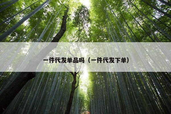 一件代发单品吗（一件代发下单）