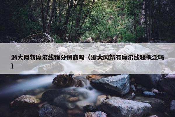 浙大网新摩尔线程分销商吗（浙大网新有摩尔线程概念吗）