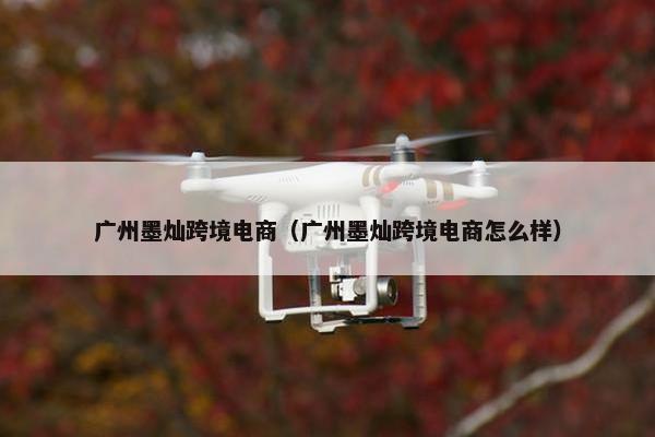 广州墨灿跨境电商（广州墨灿跨境电商怎么样）