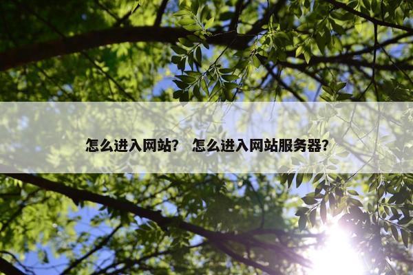 怎么进入网站？ 怎么进入网站服务器？