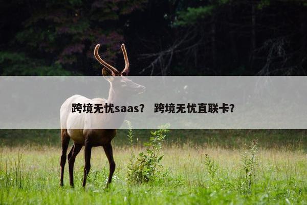 跨境无忧saas？ 跨境无忧直联卡？