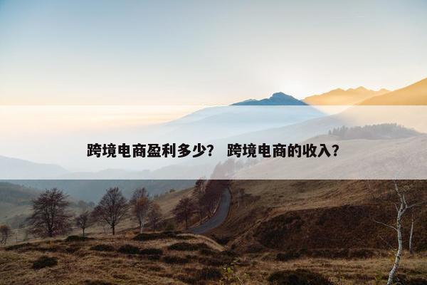 跨境电商盈利多少？ 跨境电商的收入？