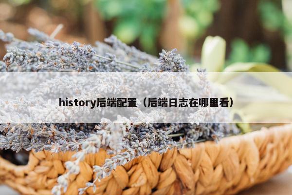 history后端配置（后端日志在哪里看）