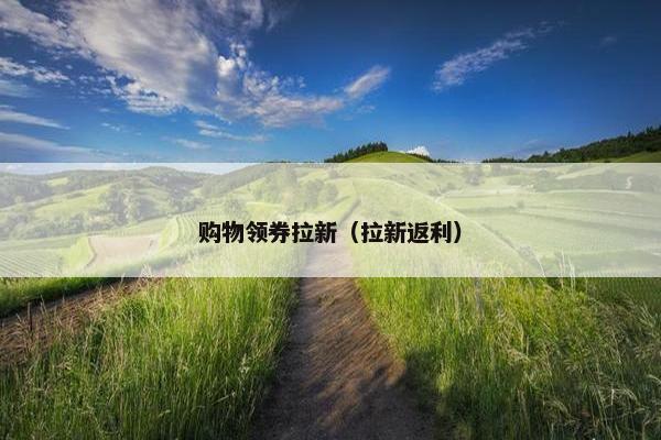 购物领券拉新（拉新返利）