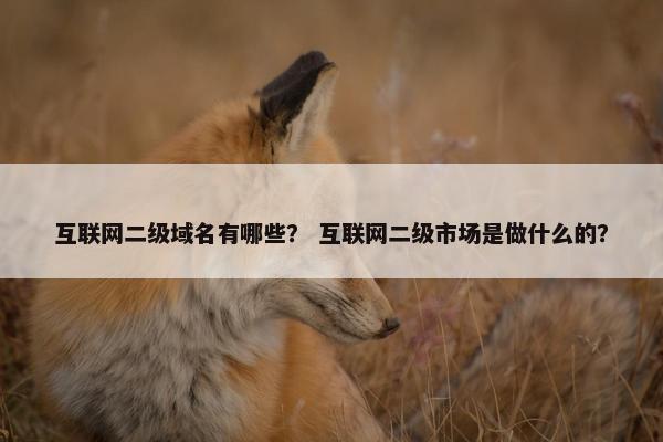 互联网二级域名有哪些？ 互联网二级市场是做什么的？