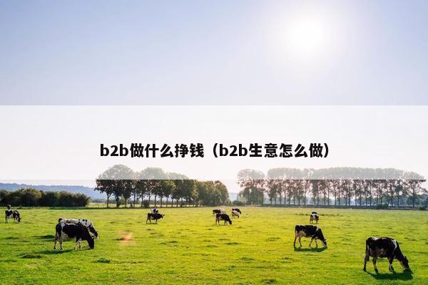 b2b做什么挣钱（b2b生意怎么做）