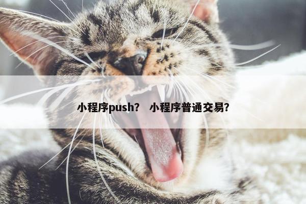 小程序push？ 小程序普通交易？