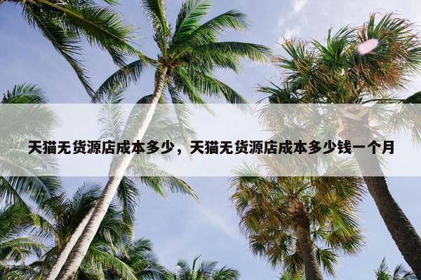 天猫无货源店成本多少，天猫无货源店成本多少钱一个月