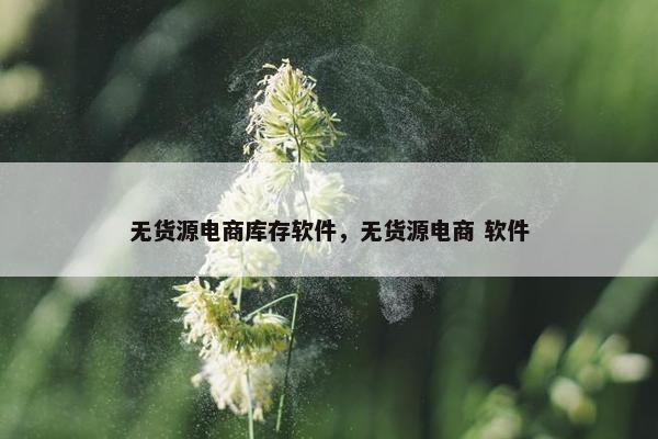 无货源电商库存软件，无货源电商 软件
