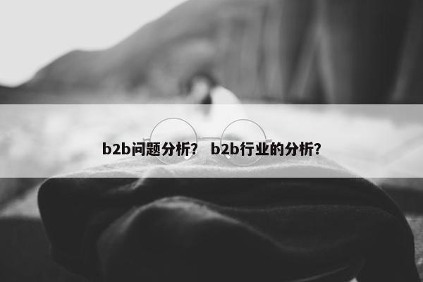 b2b问题分析？ b2b行业的分析？