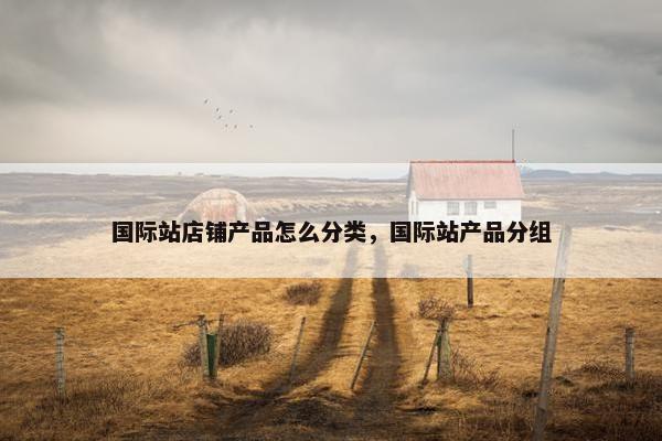 国际站店铺产品怎么分类，国际站产品分组