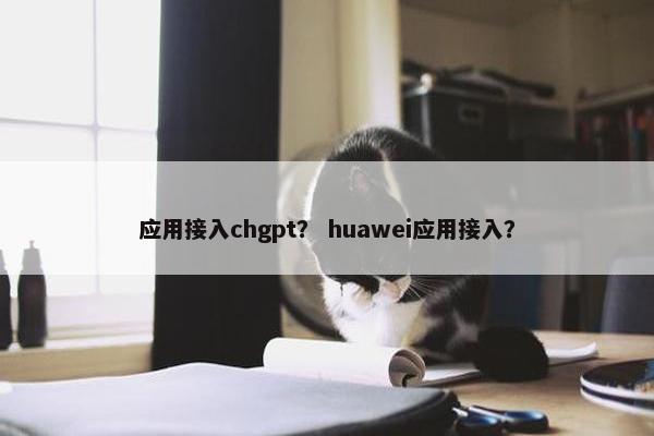 应用接入chgpt？ huawei应用接入？