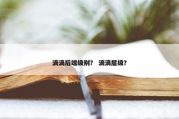 滴滴后端级别？ 滴滴层级？