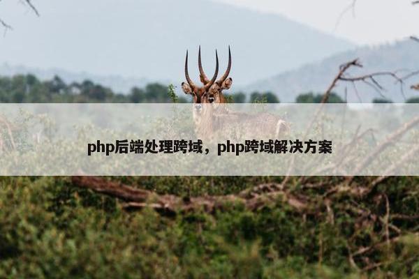 php后端处理跨域,php跨域解决方案