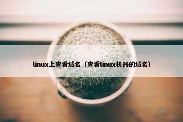 linux上查看域名（查看linux机器的域名）