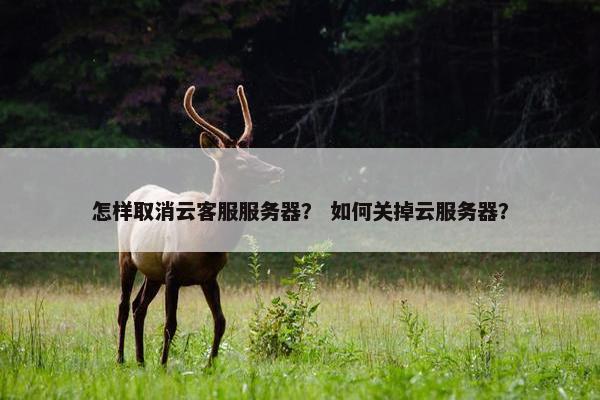 怎样取消云客服服务器？ 如何关掉云服务器？