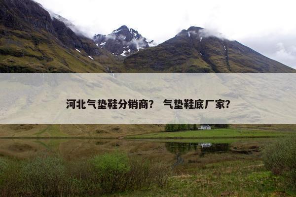 河北气垫鞋分销商？ 气垫鞋底厂家？